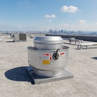 Anpassbare Elektrische Geräuscharme Langlebige Edelstahl-Dachventilatoren mit Kugellager-Kunststoffblättern 16 Zoll 110V/220V OEM/ODM