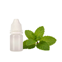 ODM Personnalisable – Huile soluble dans l'eau et les solvants, parfum menthe poivrée, pour marques de soins bucco-dentaires et de boissons en marque blanche