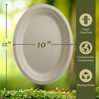 Assiettes en papier ovales compostables Vaisselle jetable robuste de 12 pouces Assiette en papier de pulpe de bagasse de canne à sucre de fête écologique
