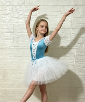 Robe de tutu de ballet en velours bleu pour filles, manches bouffantes, vêtements de danse pour enfants, costume de scène classique