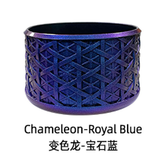 Bleu caméléon