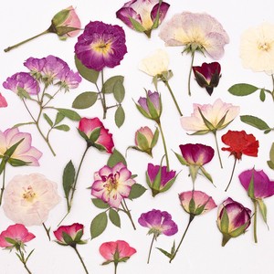 500 pièces/paquet de <span class=keywords><strong>roses</strong></span> avec tige, fleurs naturelles artisanales, réalistes, pour projets d'art en résine, cadres photo - Product Image 1
