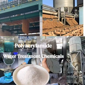 Coagulant et <span class=keywords><strong>Floculant</strong></span> Naturels pour Eaux Usées, Directement de l'Usine pour la Purification de l'Eau - Product Image 3