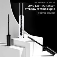 Gel Sourcils Végétalien Transparent Minéral Naturel Imperméable Longue Tenue Effet Poudre Fixante 5g Couleurs & Logo Personnalisés OEM/ODM Marque Privée