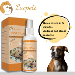 Draagbare Herbruikbare Appa-Feromoonspray Gemaakt Van Plastic Met Eenvoudige Bediening Voor Het Kalmeren Van Honden Voor Het Trainen En Gedrag Van Huisdieren - Product Image 3