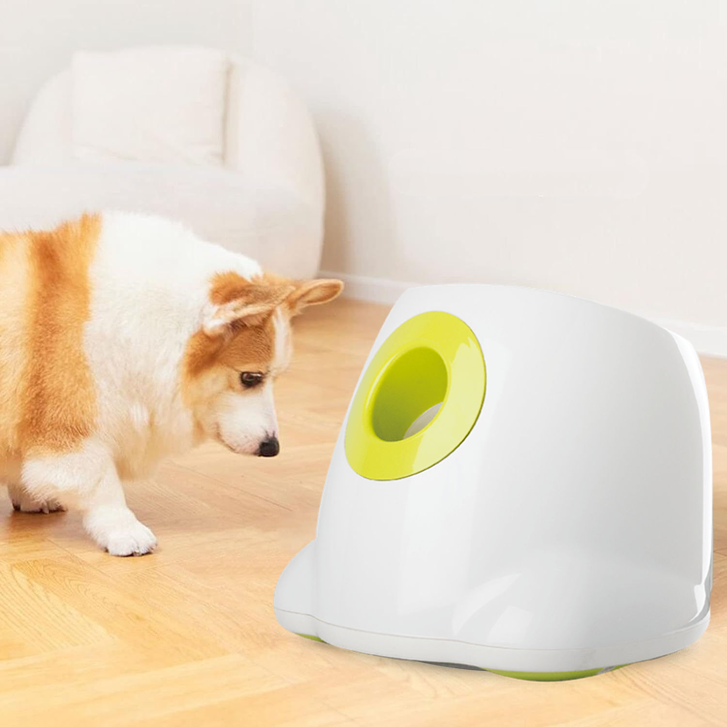 Automatic Ball Thrower Best Automatic Dog Toys Best Automatic Ball