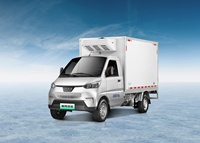Wuling Mini Van Bingbao électrique alimentaire réfrigéré boîte de refroidissement camion LHD Drive CEE certificat camion à vendre