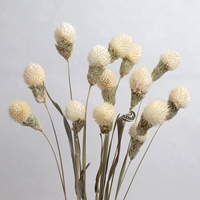 Fleur naturelle séchée, 1 ensemble de 15 pièces, arrangement de vase, pour remplissage de fruits, boule de fruits secs, similaire à des fraises, vente en gros