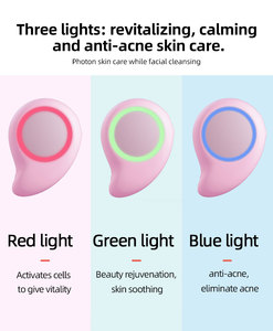 Bestseller Warm Kompres Gezichtsreinigingsborstel Sonische Trillingen Gezichtsverzorging Scrubber Borstel Gezicht Ipx6 Waterdichte Lichttherapie