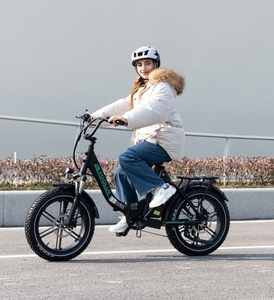 Bicicleta Eléctrica Plegable de Montaña KL6S de 20 Pulgadas con Batería Extraíble de 500w 15.6Ah, Venta al Por Mayor - Product Image 2