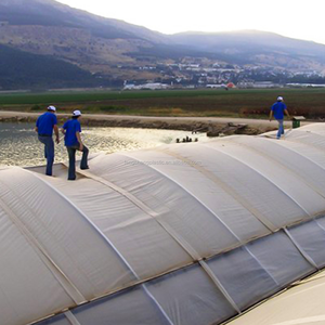 Film plastique renforcé pour serre de 300 microns pour la culture de tomates, de concombres et de légumes - Product Image 6