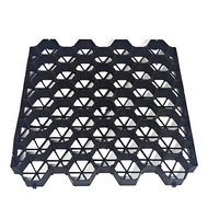 Grille de plantation en HDPE résistante aux UV, couleur noire, pour les allées résidentielles, les jardins et les aménagements paysagers en DIY