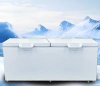 Congélateur coffre commercial à porte simple ou double, à froid direct, pour viande et crème glacée, monotempérature, à dégivrage automatique, pour cuisine