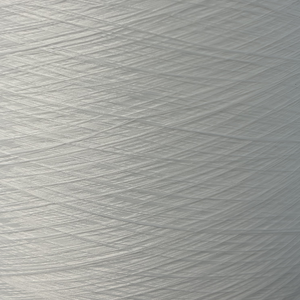 Poliéster Virgen FDY 75D/24F BRT RW 100TPM/Z Redondo Sec - Product Image 1