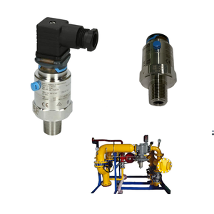 Manomètre de pression absolue et manométrique Cerabar PMC21 Endress+Hauser chinois économique sur châssis, avec support OEM personnalisé - Product Image 2