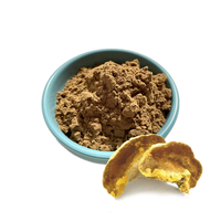 Extrait naturel de champignon Phellinus Linteus (Mesima) en poudre