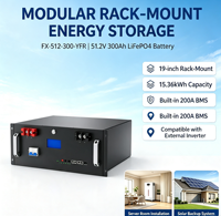 Batería de Almacenamiento de Energía LiFePO4 de 200A con BMS Inteligente para Montaje en Rack, 51.2V 300Ah 15.36kWh, Larga Vida Útil, Múltiples Puertos de Comunicación
