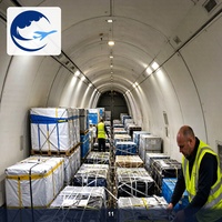Expédition de fret aérien de Guangzhou aux Pays-Bas, service de suivi, vol direct, service DDP DDU