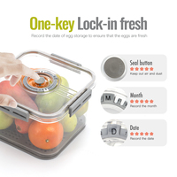 Transparante PET plastic keuken fruit- en groente bewaardoos, luchtdicht, BPA-vrij, food grade, stapelbaar, modern design, voor de koelkast