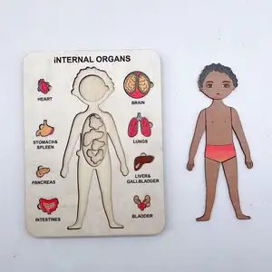 Kinder Montessori Human Organ Puzzle Aufklärung Holz puzzle Human Anatomy Puzzle Holz Science Toys