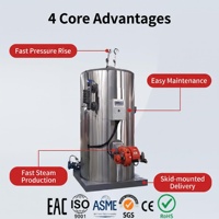 Machine à vapeur industrielle LHS 1500 kg/h pour composants préfabriqués et scellage thermique des emballages