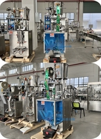 Machine automatique de fabrication de sucettes glacées WB-330Y, machine de remplissage et d'emballage de sucettes glacées liquides