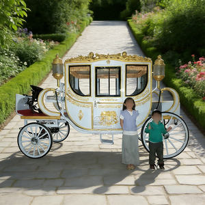 Calèche de luxe de haute qualité pour mariage, transport spécial, à vendre - Product Image 6