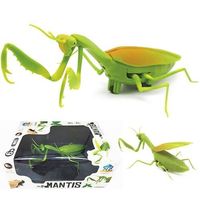 Kızılötesi RC hayvan böcek oyuncaklar simülasyon arı Mantis sinek elektronik Robot cadılar bayramı pratik şaka böcekler oyuncaklar çocuk için