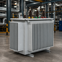 Transformateur de distribution de puissance triphasé immergé dans l'huile Taishun S11 160KVA 50/60Hz 6.3kV 10kV