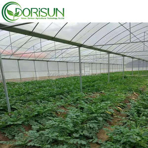 Systeme Burmisation botte Pour <span class=keywords><strong>Serre</strong></span> 8x10m câble Tondeuse universelle Champignon Agricole Moderne équipements - Product Image 3