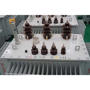 Transformador para Exteriores de 315 kVA con Regulación de Precio, Transformador Electrónico de Potencia de 50 kVA, 100 kVA, 400 kW, 1 MVA, 12 V, Gran Oferta - Product Image 4