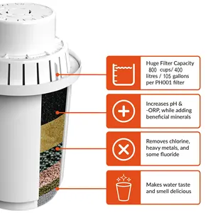EHM-filtro de agua para jarra de agua alcalina, EHM-WP3/WP5