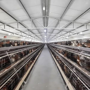 Edificio escolar de marco de acero asequible de almacenamiento fácilmente ensamblado para uso en oficina Aplicación de granja - Product Image 1