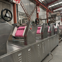 Ligne de production entièrement automatique pour nouilles instantanées frites