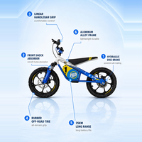 Moto électrique tout-terrain pour enfants, pneus à crampons de 16 pouces, freins à disque hydrauliques, batterie Li-ion 36V 5.0Ah, conduite sur sentier, logo personnalisé disponible