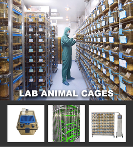 Cages IVC pour laboratoire animalier, cages à ventilation individuelle pour expériences sur les <span class=keywords><strong>animaux</strong></span>, <span class=keywords><strong>recherche</strong></span> animale - Product Image 2