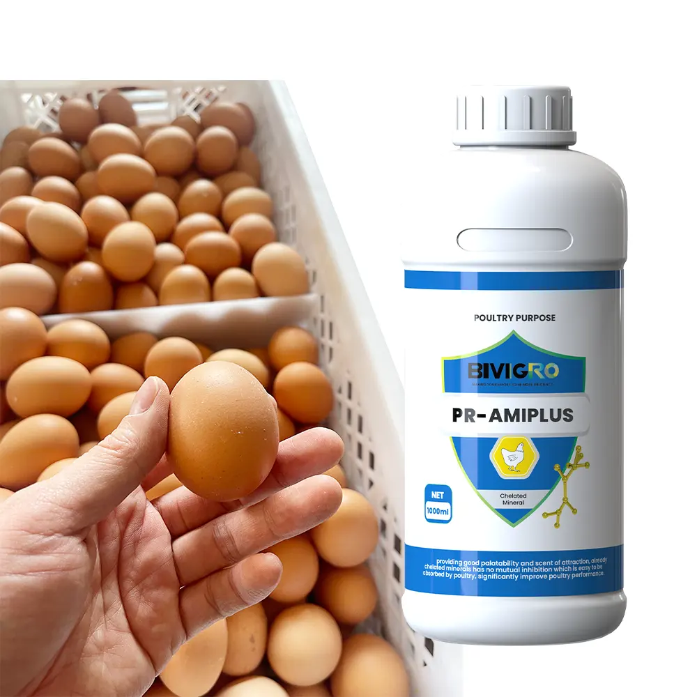 Yumurta üretimini artırmak için kanatlı tabaka için yem sınıfı organik mineraller Premix sıvı