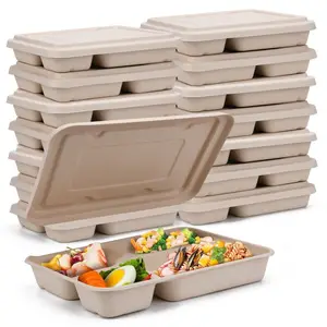 Bandeja de alimentos compostável com 4 compartimentos, utensílios de mesa descartáveis ecológicos em fibra de cana-de-açúcar e bagaço natural