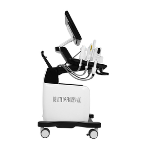 เครื่อง Hifu ระดับมืออาชีพ 5 in 1 5 หัว Hifu พร้อมระบบ Hifu และ RF Micro Needling - Product Image 5