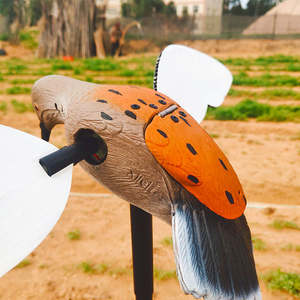 Décoys de chasse aux pigeons électriques en PE durables et écologiques télécommandés pour la chasse en plein air et la décoration de jardin - Product Image 2