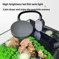 Aquarium intelligent de luxe moderne pour salon, petit, en verre ultra-transparent, ensemble complet de bureau, mini micro-paysage, éco-aquarium