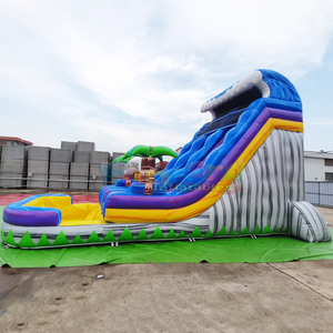 Toboggan gonflable kids bounce house with pool inflatable tropical thunder water slide for adults - Product Image 2