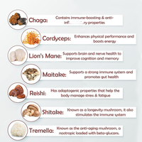 Poudre de complexe de 10 champignons nutritifs en 1 avec extrait de Crinière de lion, Reishi, Cordyceps, Chaga, Queue de dinde