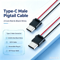 Câble Pigtail Type-C Mâle 24AWG 8CM Pré-soudé, Fiche USB-C Réversible pour Modification d'Alimentation DIY, Câblage d'Alimentation pour Modèles RC