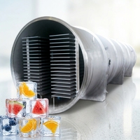 Machine de lyophilisation par sublimation sous vide Cryodry pour fruits et légumes