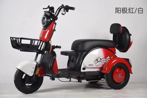 Tricycle électrique en gros pour deux <span class=keywords><strong>personnes</strong></span>, mini tricycle, vélo électrique à <span class=keywords><strong>3</strong></span> roues - Product Image 5