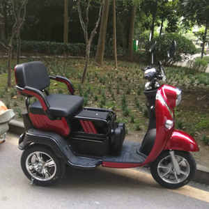 Triciclo Eléctrico <span class=keywords><strong>de</strong></span> Pasajeros, Motocicleta <span class=keywords><strong>de</strong></span> Tres Ruedas Abierta, 3 Velocidades, 48V, Marco <span class=keywords><strong>de</strong></span> Acero al Carbono, Motor <span class=keywords><strong>de</strong></span> 1000W al <span class=keywords><strong>Precio</strong></span> Más Favorable - Product Image 5
