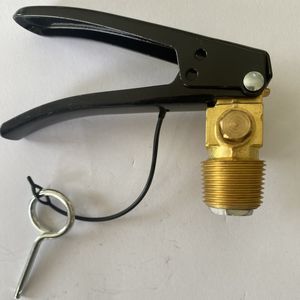 วาล์วดับเพลิง <span class=keywords><strong>CO2</strong></span> PZ25.40ในตลาดเวียดนามไม่จำเป็นต้องใช้ที่แขวน - Product Image 2