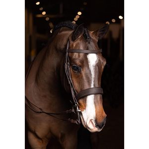 Brida LeMieux Flat Hunter de ajuste regular, pre-encerada, de cuero americano, equipo de equitación - Product Image 2