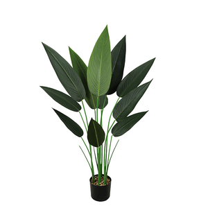 Decoración y Accesorios Ecológicos para Bodas, Árbol Artificial de Ave <span class=keywords><strong>del</strong></span> Paraíso, Plantas Artificiales de Plástico para Decoración <span class=keywords><strong>del</strong></span> Hogar y Hoteles - Product Image 6